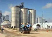 Kinerja Emiten Semen Diprediksi Lesu Kuartal II 2025