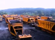 MYOH Siapkan Dividen Tunai US$8 Juta untuk 2024, Yield 3,3%