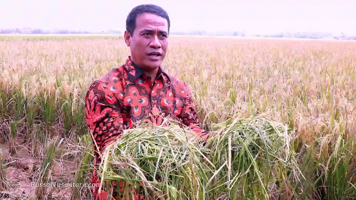 Rekor Stok Beras Tertinggi, Bukti Nyata Kedaulatan Pangan RI