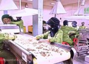 SIDO Bagikan Dividen Rp 630 M, Cek Jadwal Lengkapnya