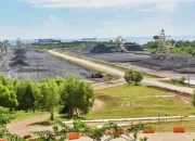 BUMI Lakukan Langkah Ini Demi Buka Jalan Dividen