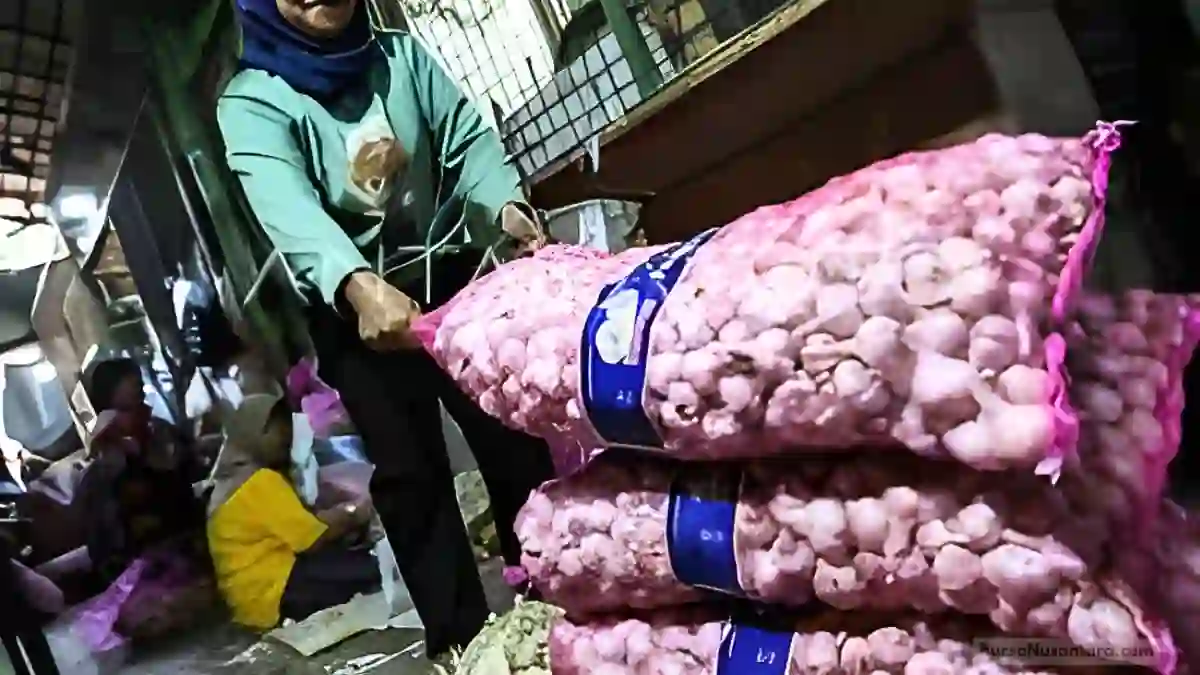 Harga Bawang Putih Melonjak di Timur, Bapanas Siapkan Intervensi