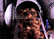 Harga CPO Melejit, Terdorong Konflik Timur Tengah