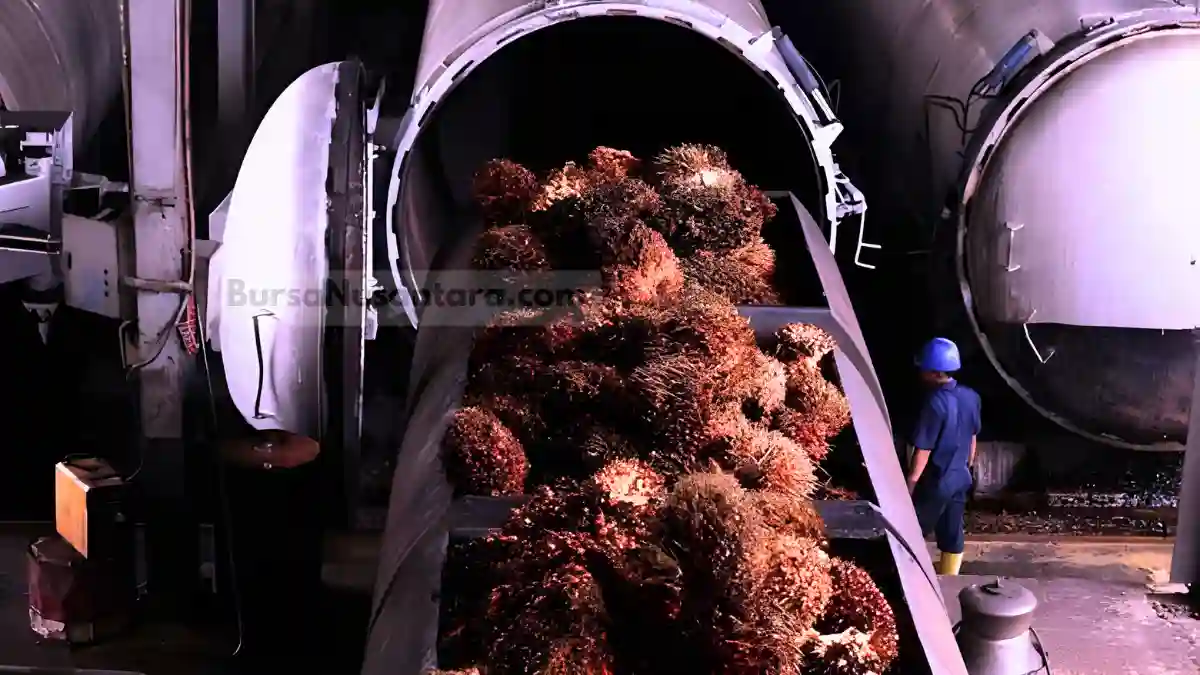 Harga CPO Melejit, Terdorong Konflik Timur Tengah