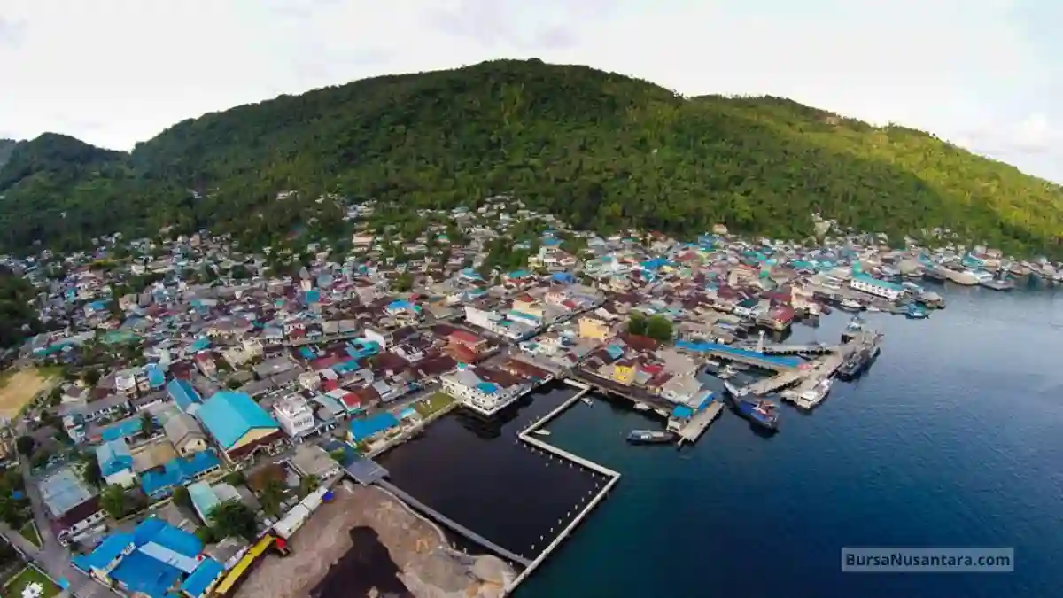 KKP Soroti Celah Digital, Waspadai Modus Jual Pulau Anambas