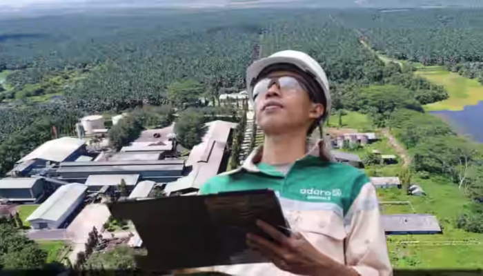 Saham ADMR Tembus Sinyal Marubozu, Ini Target Ina Sekuritas