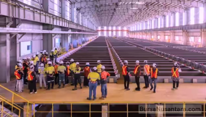 AMMN Gaspol Hilirisasi, Tantangan Jangka Pendek Demi Lonjakan Jangka Panjang