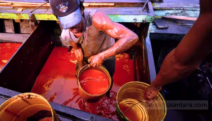 Harga CPO di Bursa Malaysia Melejit Ikuti Minyak Kedelai