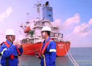 Saham CDIA Anjlok 10% Usai Meroket 480% Sejak IPO