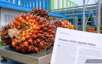Dividen Saham SSMS Rp800 Miliar Cair, Masih Layak Kejar?